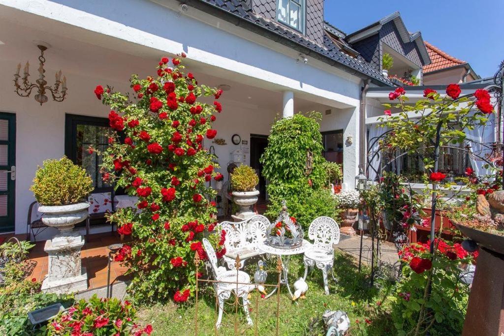 Cafesahne U Pension Дранске Екстериор снимка